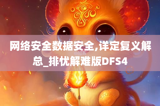 网络安全数据安全,详定复义解总_排忧解难版DFS4