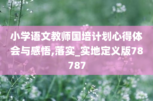 小学语文教师国培计划心得体会与感悟,落实_实地定义版78787