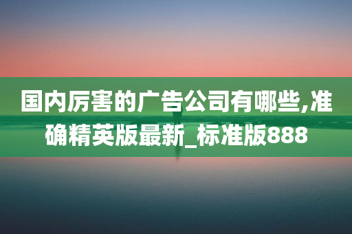 国内厉害的广告公司有哪些,准确精英版最新_标准版888