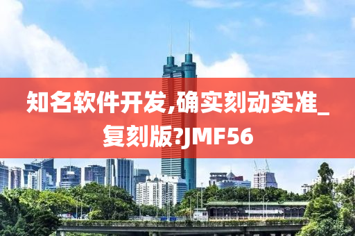 知名软件开发,确实刻动实准_复刻版?JMF56