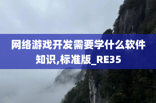 网络游戏开发需要学什么软件知识,标准版_RE35