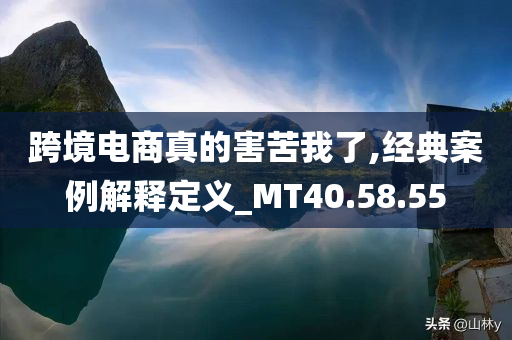 跨境电商真的害苦我了,经典案例解释定义_MT40.58.55