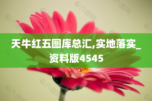 天牛红五图库总汇,实地落实_资料版4545