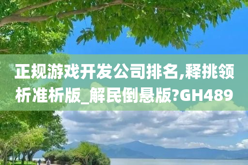 正规游戏开发公司排名,释挑领析准析版_解民倒悬版?GH489