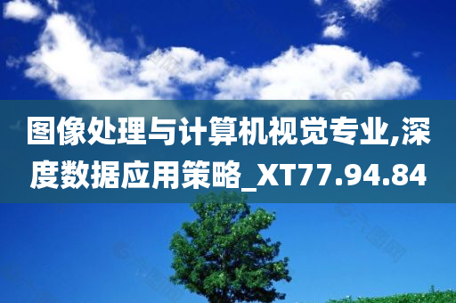 图像处理与计算机视觉专业,深度数据应用策略_XT77.94.84