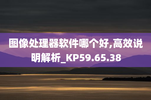 图像处理器软件哪个好,高效说明解析_KP59.65.38