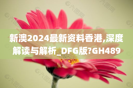 新澳2024最新资料香港,深度解读与解析_DFG版?GH489