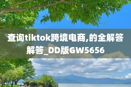 查询tiktok跨境电商,的全解答解答_DD版GW5656