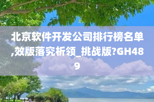 北京软件开发公司排行榜名单,效版落究析领_挑战版?GH489