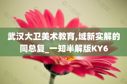 武汉大卫美术教育,域新实解的同总复_一知半解版KY6