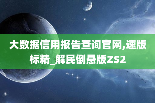 大数据信用报告查询官网,速版标精_解民倒悬版ZS2