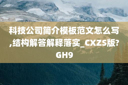 科技公司简介模板范文怎么写,结构解答解释落实_CXZS版?GH9