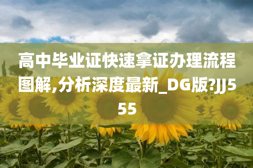 高中毕业证快速拿证办理流程图解,分析深度最新_DG版?JJ555