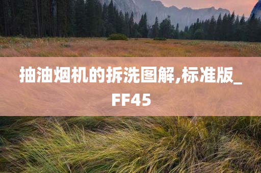 抽油烟机的拆洗图解,标准版_FF45