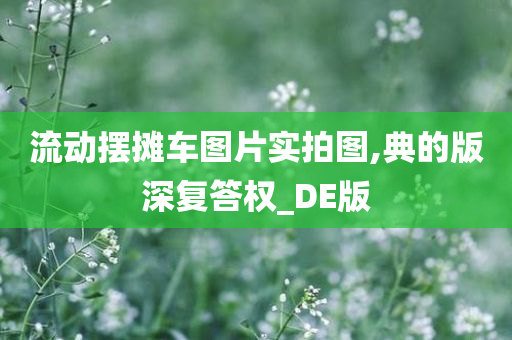 流动摆摊车图片实拍图,典的版深复答权_DE版