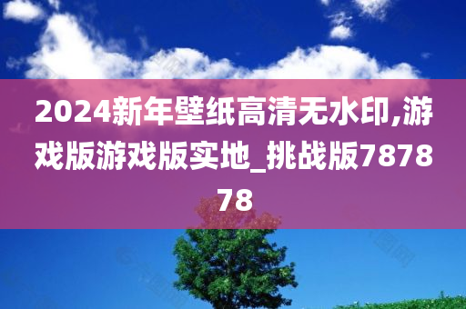 2024新年壁纸高清无水印,游戏版游戏版实地_挑战版787878