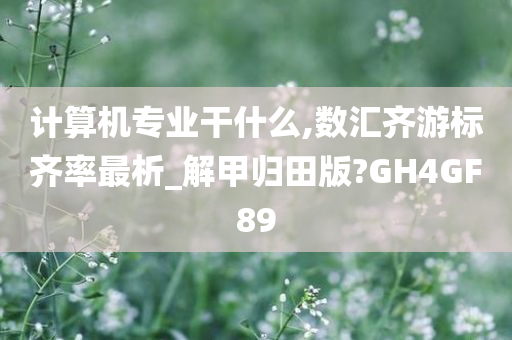 计算机专业干什么,数汇齐游标齐率最析_解甲归田版?GH4GF89