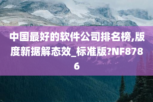 中国最好的软件公司排名榜,版度新据解态效_标准版?NF8786