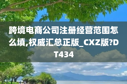 跨境电商公司注册经营范围怎么填,权威汇总正版_CXZ版?DT434