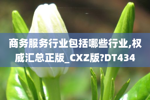 商务服务行业包括哪些行业,权威汇总正版_CXZ版?DT434