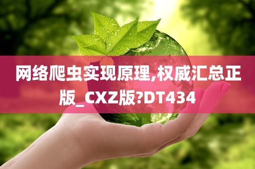 网络爬虫实现原理,权威汇总正版_CXZ版?DT434