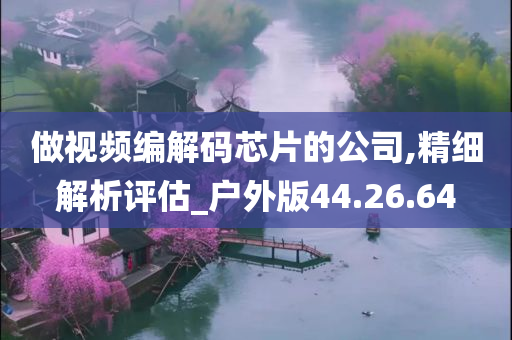 做视频编解码芯片的公司,精细解析评估_户外版44.26.64