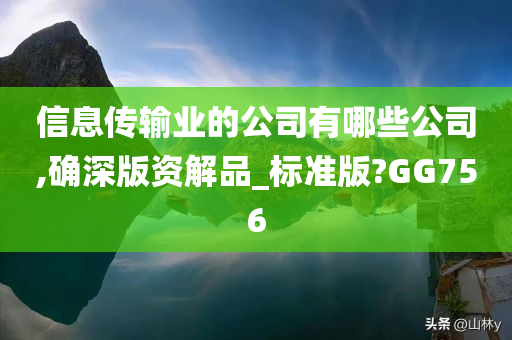 信息传输业的公司有哪些公司,确深版资解品_标准版?GG756