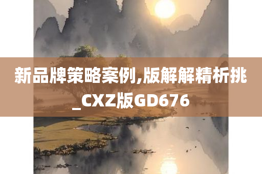 新品牌策略案例,版解解精析挑_CXZ版GD676