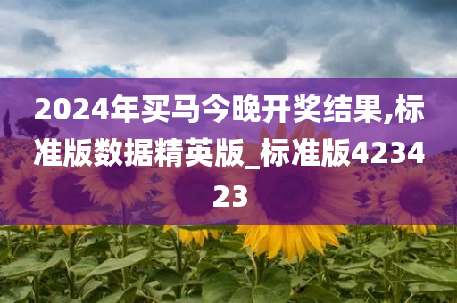 2024年买马今晚开奖结果,标准版数据精英版_标准版423423