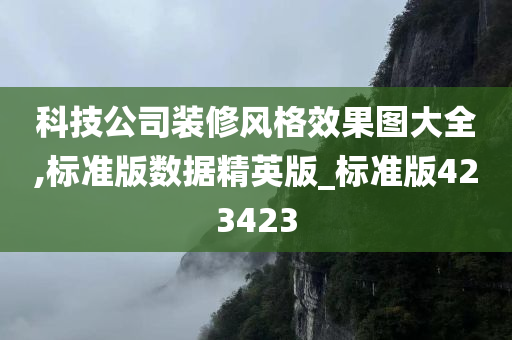 科技公司装修风格效果图大全,标准版数据精英版_标准版423423