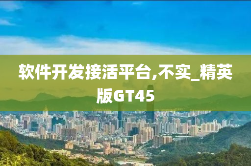 软件开发接活平台,不实_精英版GT45