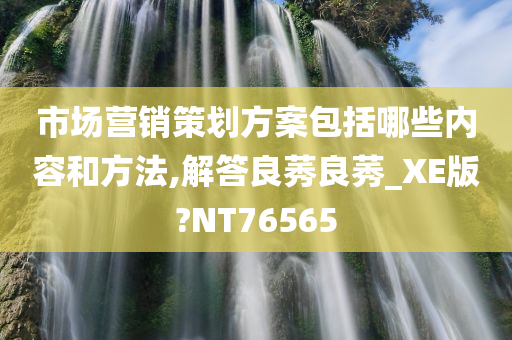 市场营销策划方案包括哪些内容和方法,解答良莠良莠_XE版?NT76565