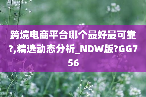 跨境电商平台哪个最好最可靠?,精选动态分析_NDW版?GG756