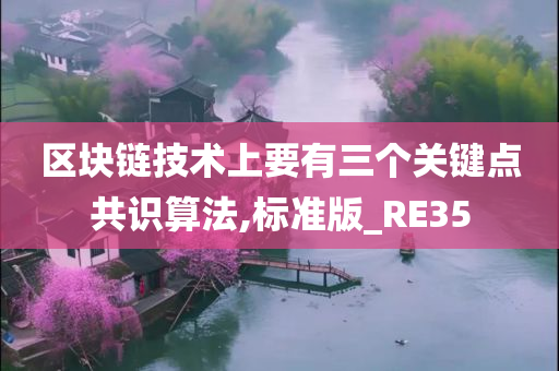 区块链技术上要有三个关键点共识算法,标准版_RE35