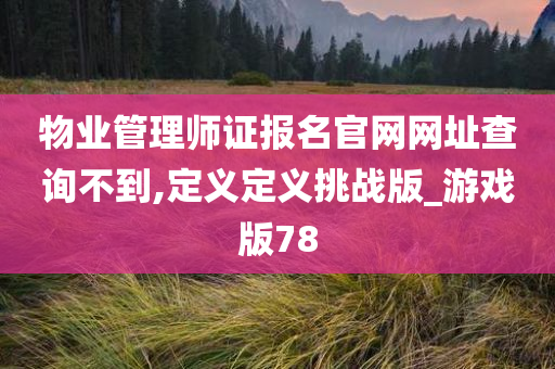 物业管理师证报名官网网址查询不到,定义定义挑战版_游戏版78