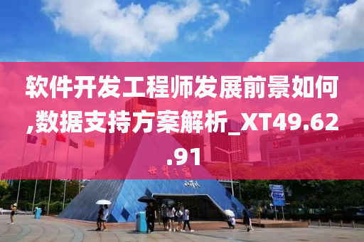 软件开发工程师发展前景如何,数据支持方案解析_XT49.62.91