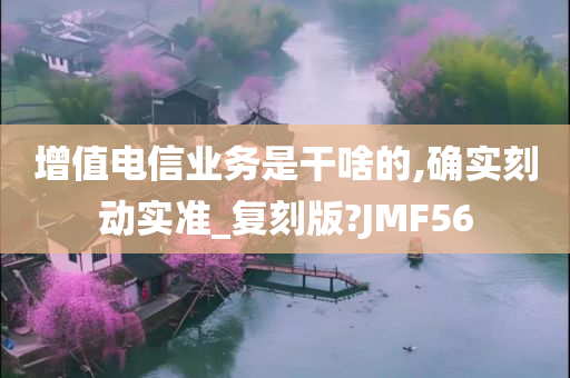 增值电信业务是干啥的,确实刻动实准_复刻版?JMF56