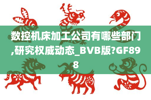 数控机床加工公司有哪些部门,研究权威动态_BVB版?GF898