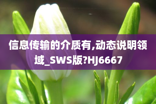 信息传输的介质有,动态说明领域_SWS版?HJ6667