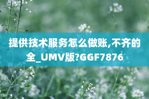 提供技术服务怎么做账,不齐的全_UMV版?GGF7876