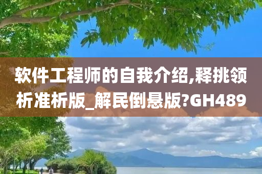 软件工程师的自我介绍,释挑领析准析版_解民倒悬版?GH489