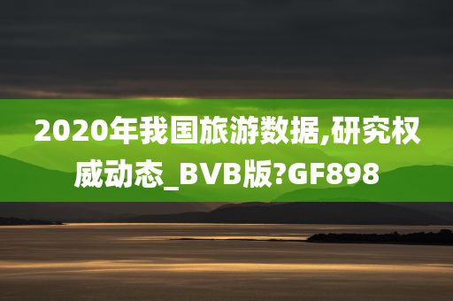 2020年我国旅游数据,研究权威动态_BVB版?GF898