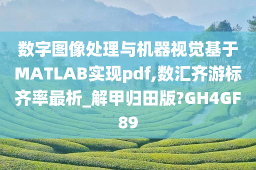 数字图像处理与机器视觉基于MATLAB实现pdf,数汇齐游标齐率最析_解甲归田版?GH4GF89