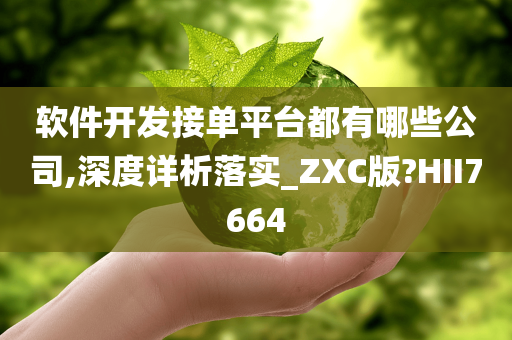 软件开发接单平台都有哪些公司,深度详析落实_ZXC版?HII7664