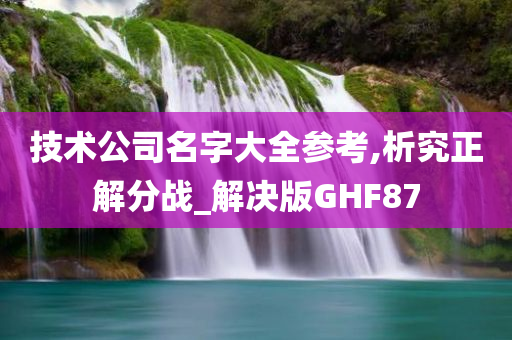 技术公司名字大全参考,析究正解分战_解决版GHF87