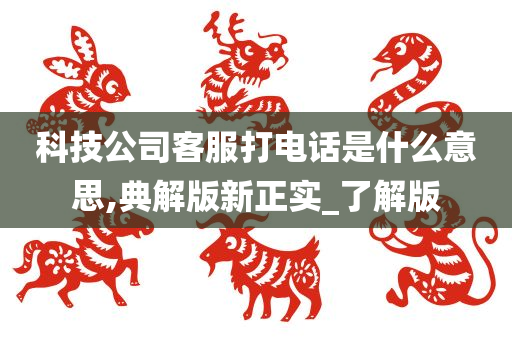 科技公司客服打电话是什么意思,典解版新正实_了解版