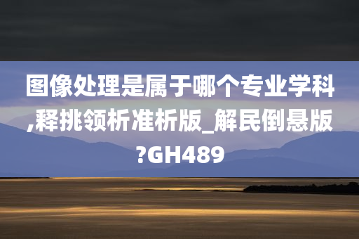 图像处理是属于哪个专业学科,释挑领析准析版_解民倒悬版?GH489