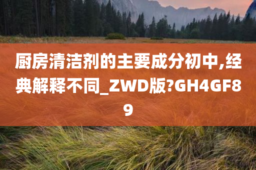 厨房清洁剂的主要成分初中,经典解释不同_ZWD版?GH4GF89