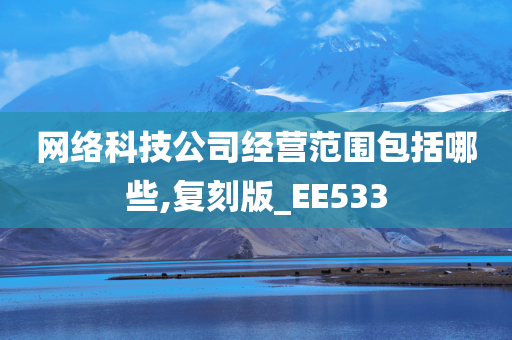 网络科技公司经营范围包括哪些,复刻版_EE533