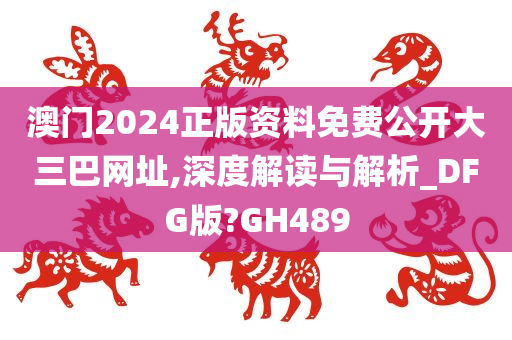 澳门2024正版资料免费公开大三巴网址,深度解读与解析_DFG版?GH489